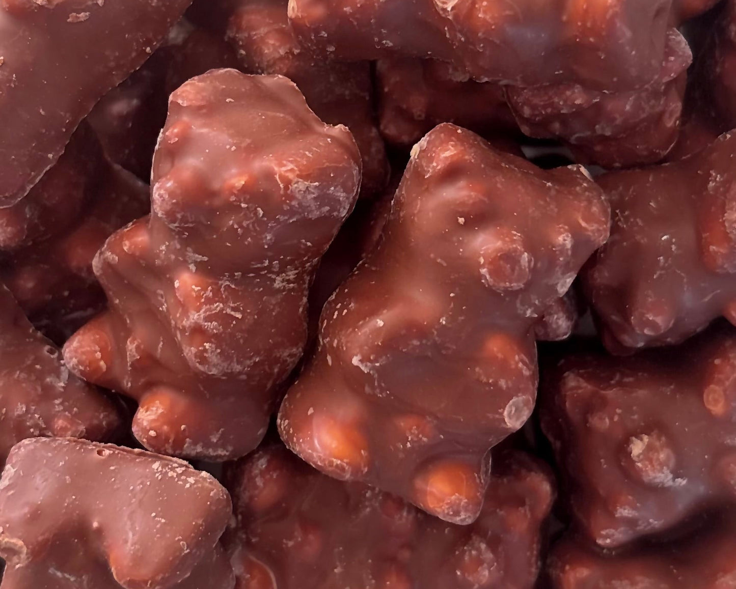 🍫 Koala Guimauve Chocolat au lait (5 pièces)